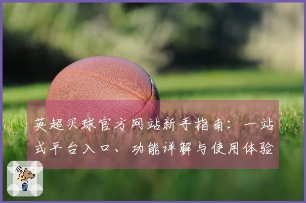 英超买球官方网站新手指南：一站式平台入口、功能详解与使用体验全方位导航