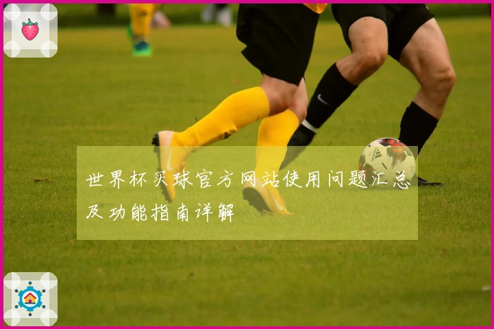 世界杯买球官方网站使用问题汇总及功能指南详解