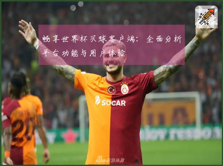 畅享世界杯买球客户端：全面分析平台功能与用户体验
