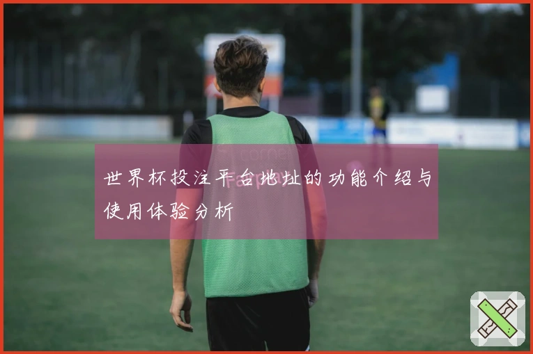 世界杯投注平台地址的功能介绍与使用体验分析
