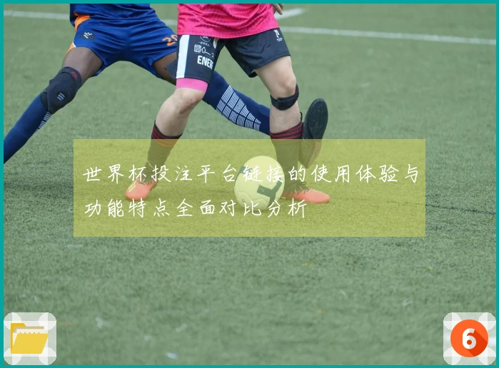 世界杯投注平台链接的使用体验与功能特点全面对比分析