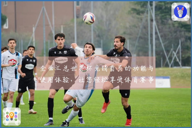 全面汇总世界杯竞猜首页的功能与使用体验，让您轻松享受体育赛事盛宴