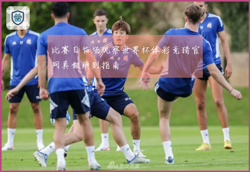 比赛日临场观察世界杯体彩竞猜官网真假辨别指南