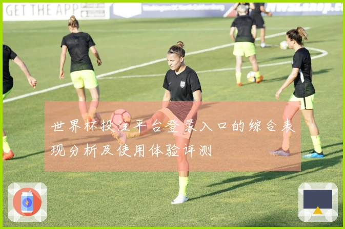 世界杯投注平台登录入口的综合表现分析及使用体验评测