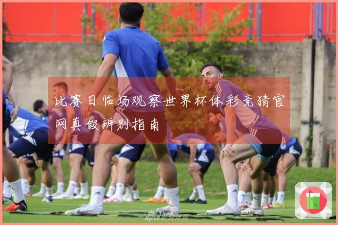 比赛日临场观察世界杯体彩竞猜官网真假辨别指南