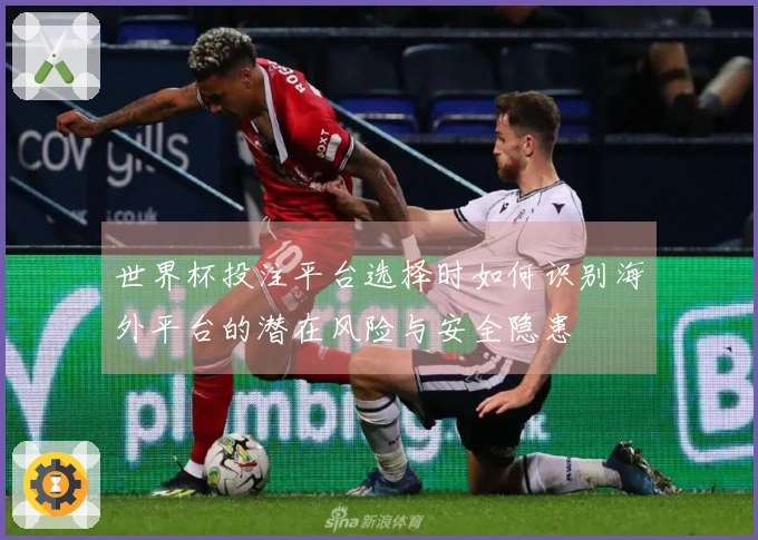 世界杯投注平台选择时如何识别海外平台的潜在风险与安全隐患