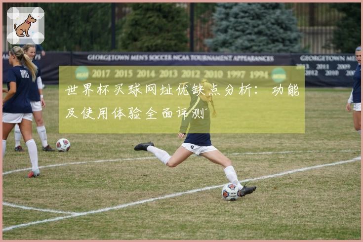 世界杯买球网址优缺点分析：功能及使用体验全面评测